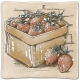 Polcolorit - Country - Country DS 100x100 Beige Owoce 2